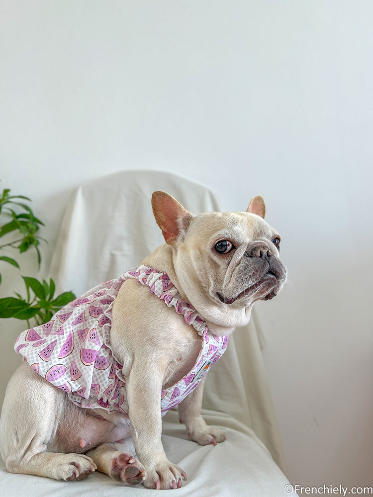 dog pink watermelon dress for small medium dogs