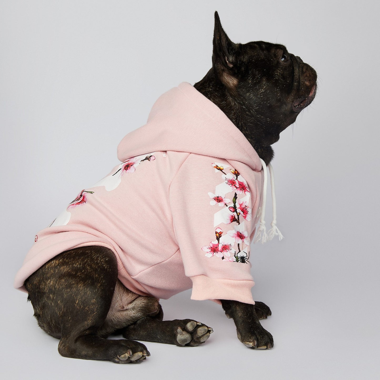 Dog Pink Woof Hoodie - Frenchiely