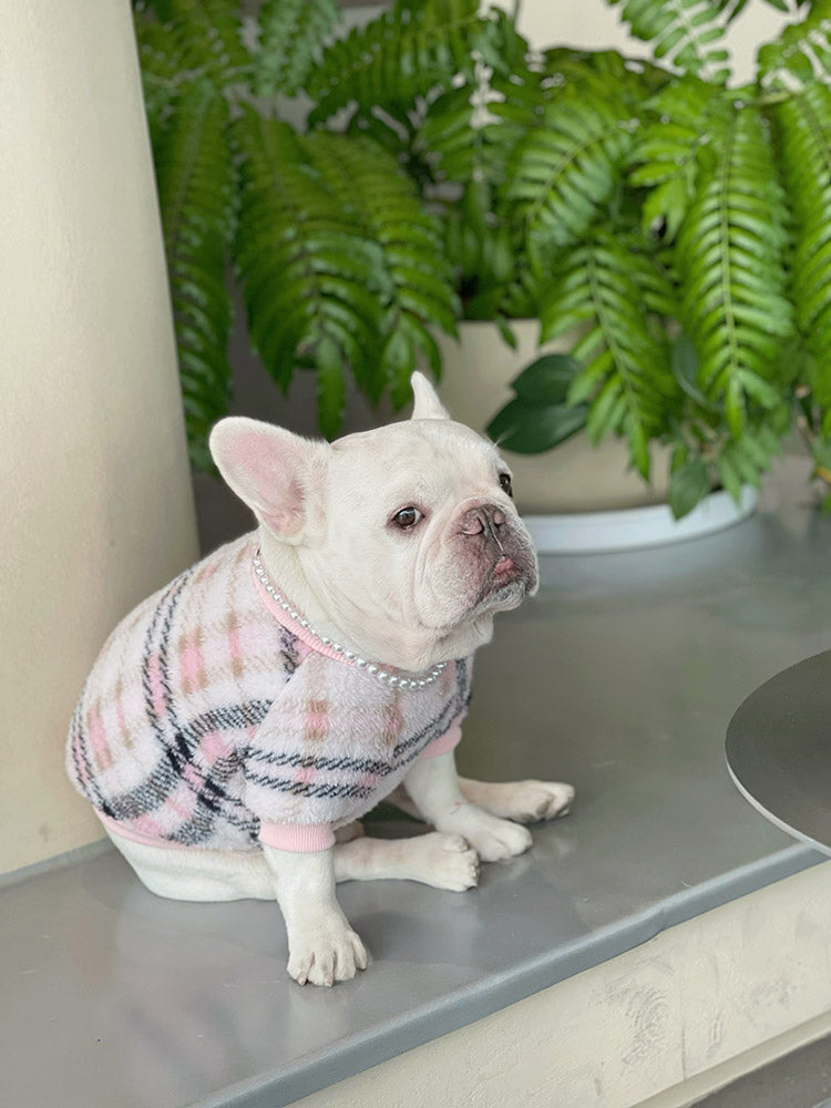 Dog Plaid Sweater - Frenchiely