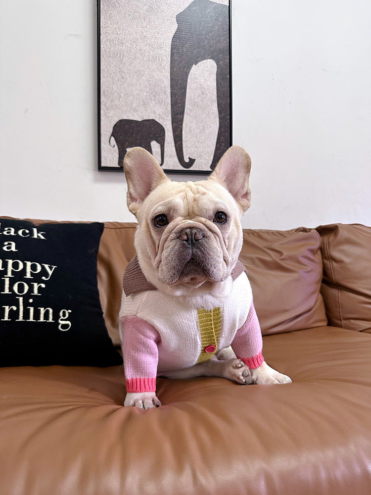 Dog Colored Buttons Cardigan sweater for medium dogs by Frenchiely