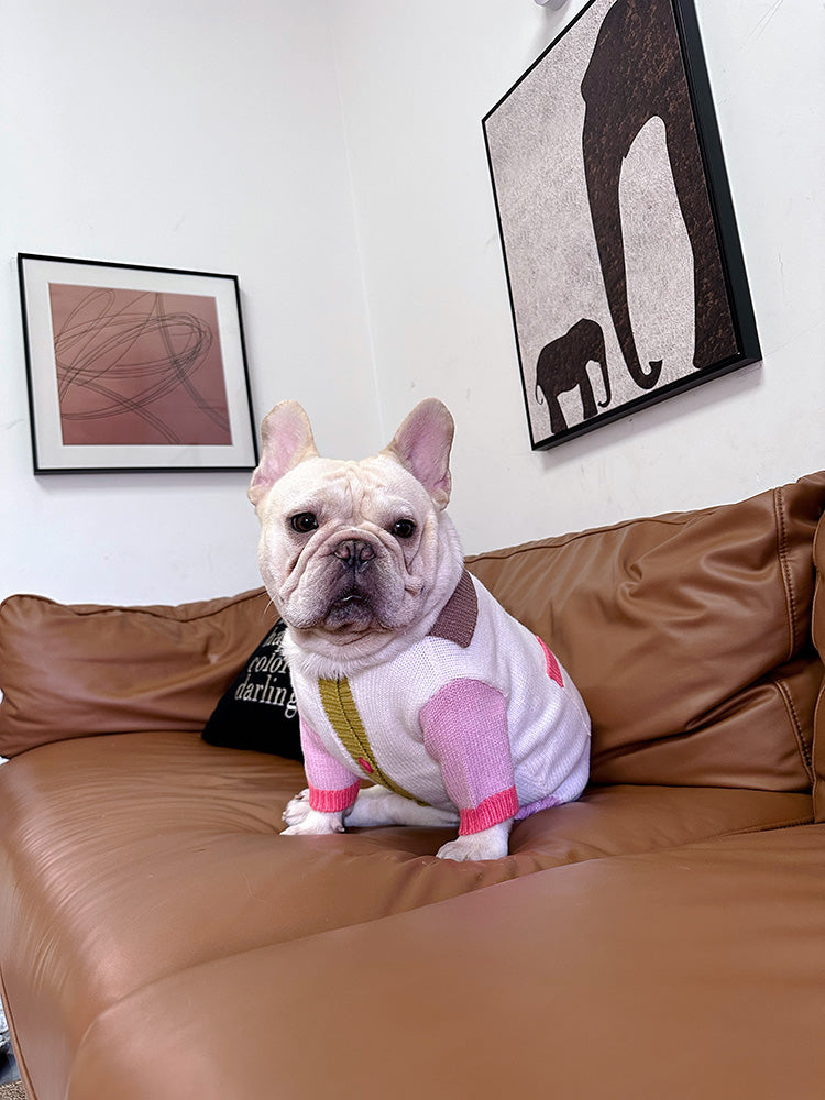 Dog Colored Buttons Cardigan sweater for medium dogs by Frenchiely