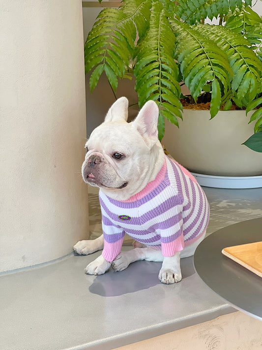 Blossing Sweater dogpurpleflowerstripepulloversweaterforsmallmediumdogsbyFrenchiely_9