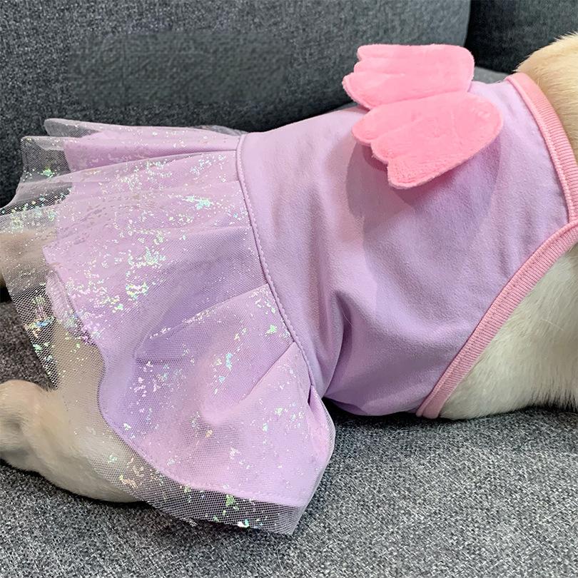 Tutu Dress with Angel Wings