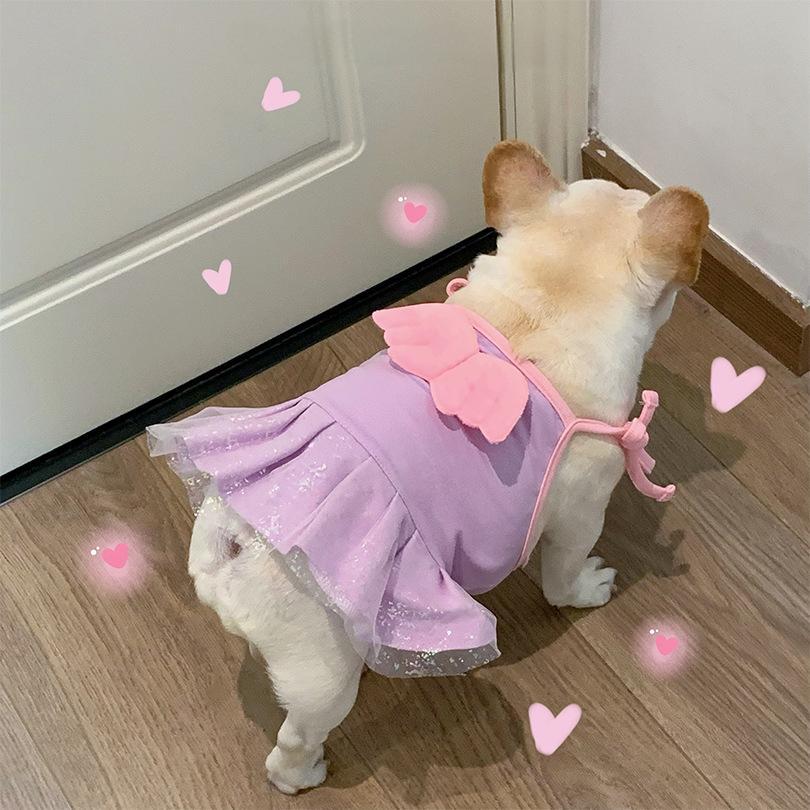 Tutu Dress with Angel Wings