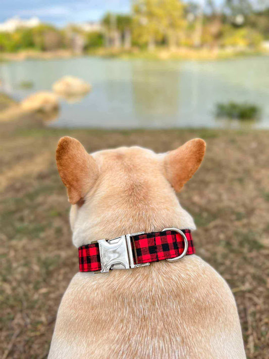 Dog Red Buffalo Collar - Frenchiely