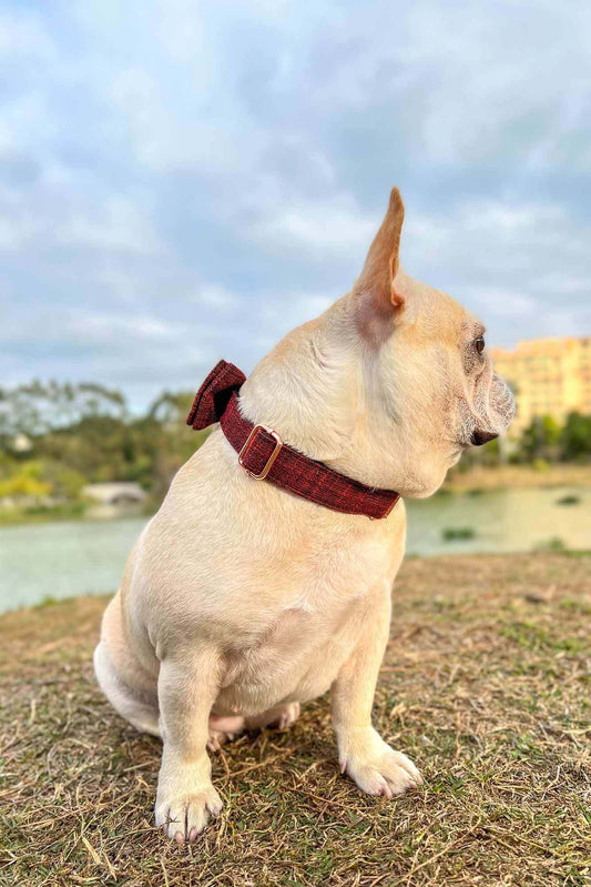 Dog Red Collar - Frenchiely