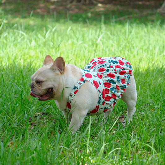 Roses Summer Dress