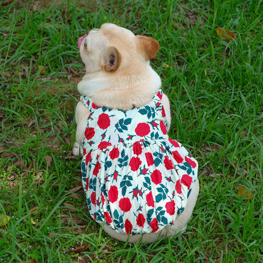 Roses Summer Dress dogrosesdressforfemalemediumdogbreedsbyFrenchiely_5