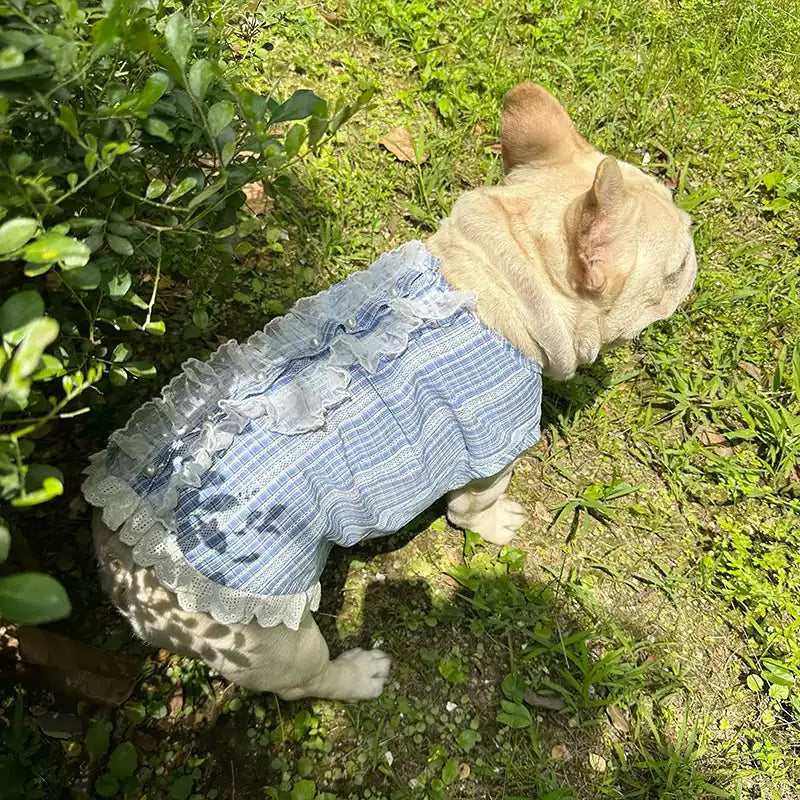 Summer Blue Shirt