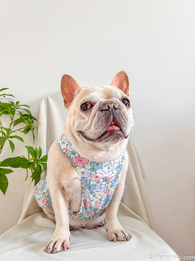 dog blue floral dress for small medium dogs by frenchiely