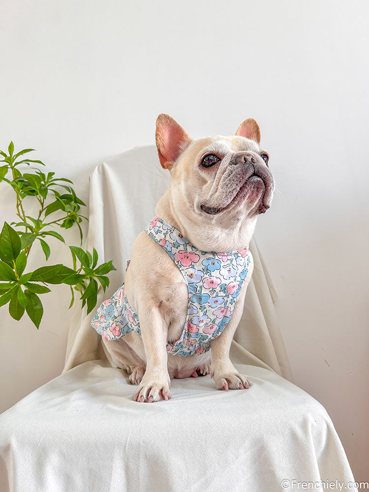 dog blue floral dress for small medium dogs by frenchiely