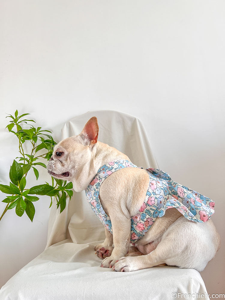 dog blue floral dress for small medium dogs by frenchiely