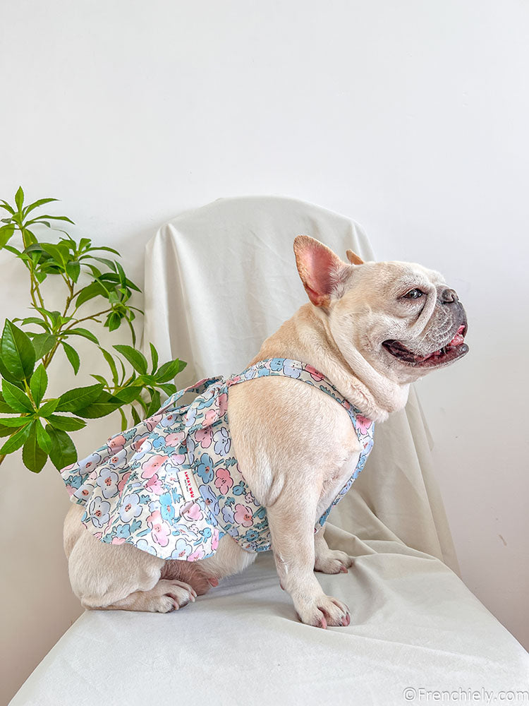 dog blue floral dress for small medium dogs by frenchiely