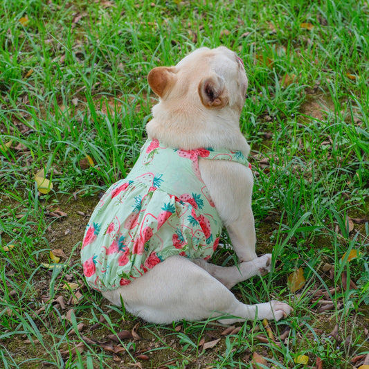 Summer Strawberry Dress dogsummerstrawberrydressformediumdogs_1