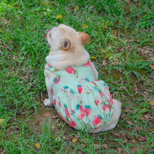 Summer Strawberry Dress
