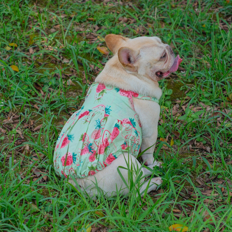 Summer Strawberry Dress