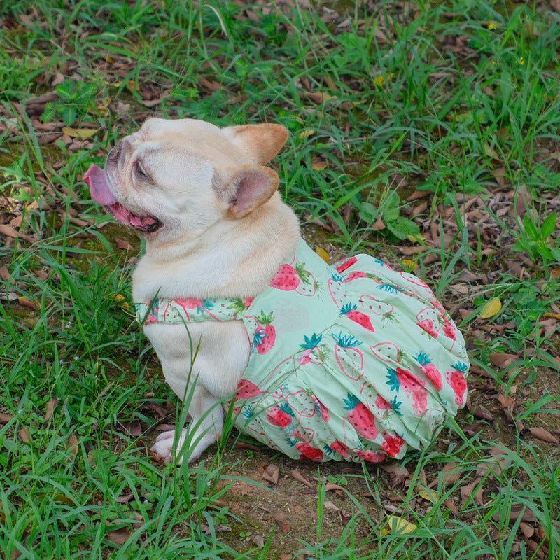 Summer Strawberry Dress