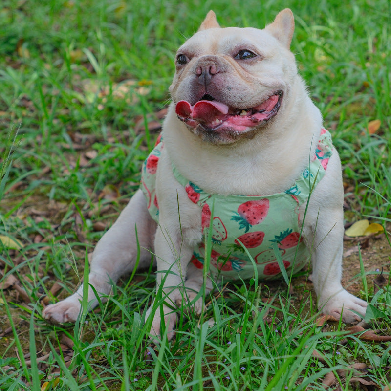 Summer Strawberry Dress dogsummerstrawberrydressformediumdogs_5