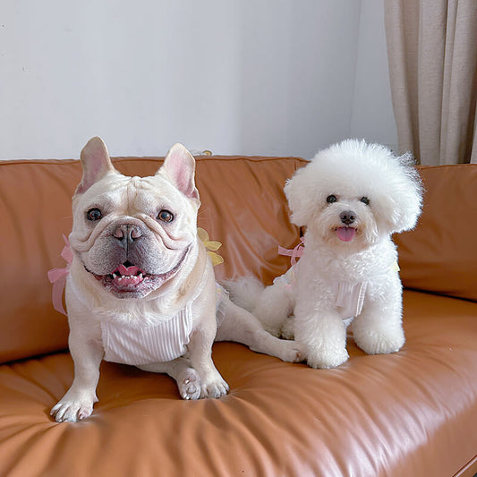 Dog Mermaid Floral Mesh Shirt for small medium dogs by Frenchiely