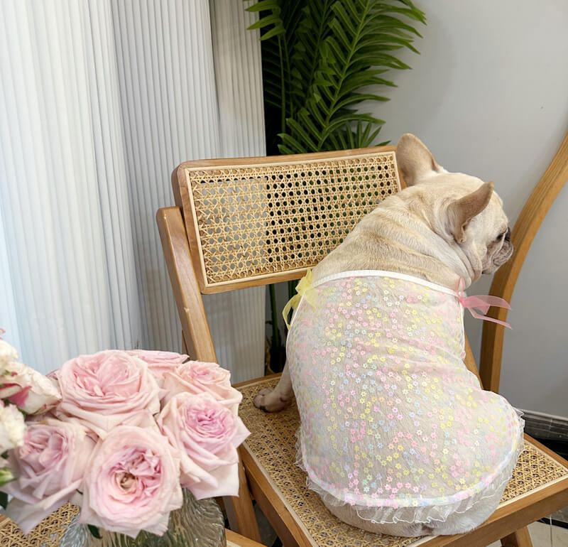 Dog Mermaid Floral Mesh Shirt for small medium dogs by Frenchiely
