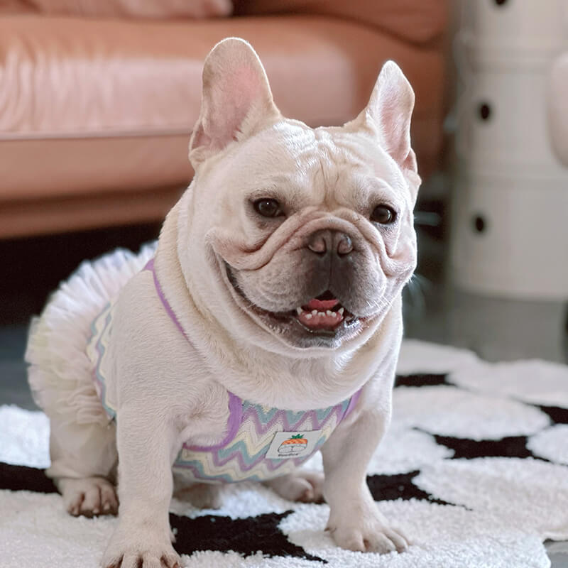 dog summer mesh breathable mesh dress