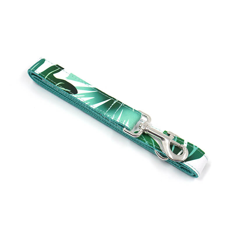 Dog Tropical Vibes Leash - Frenchiely