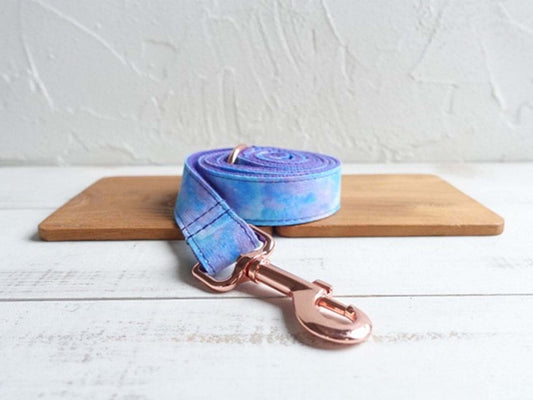 Dog Universe Leash - Frenchiely