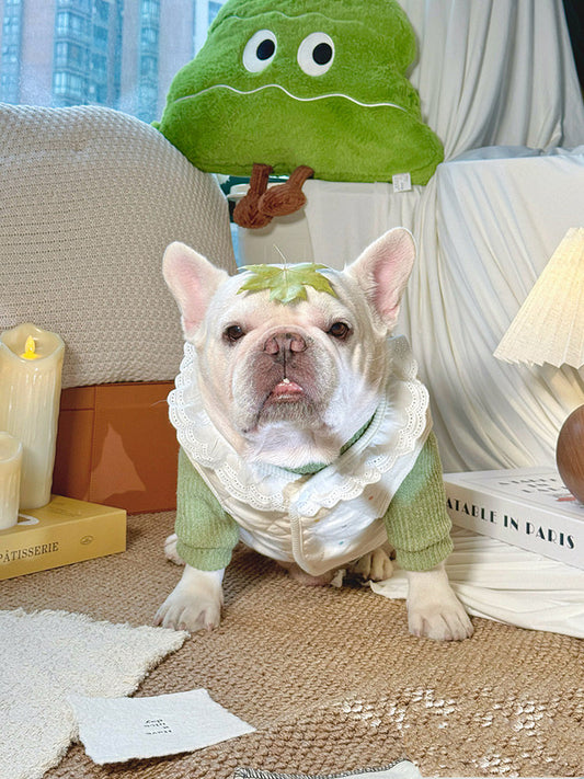 Jacket Vest with Lace dogwarmjacketwithlacecollarforsmallmediumdogsbyFrenchiely_7