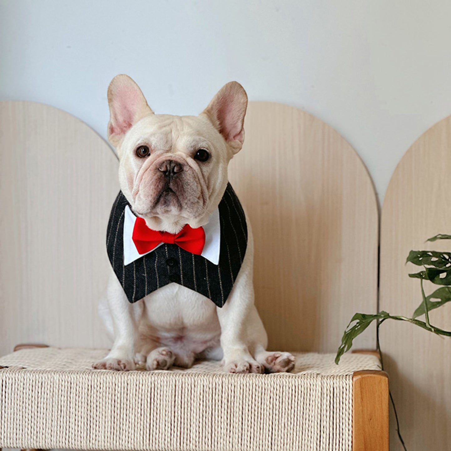 Dog Luxury Wedding Necktie bandana for medium dog breeds