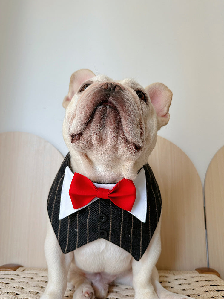 Dog Luxury Wedding Necktie bandana for medium dog breeds