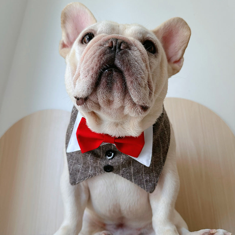 Dog Luxury Wedding Necktie bandana for medium dog breeds