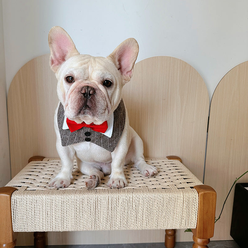 Dog Luxury Wedding Necktie bandana for medium dog breeds