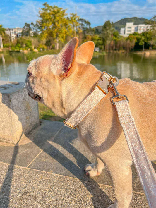 Dog White Lace Leash Set - Frenchiely