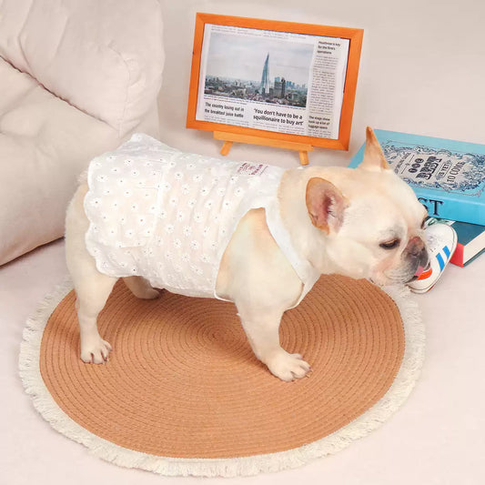 Frenchie Summer White Dress