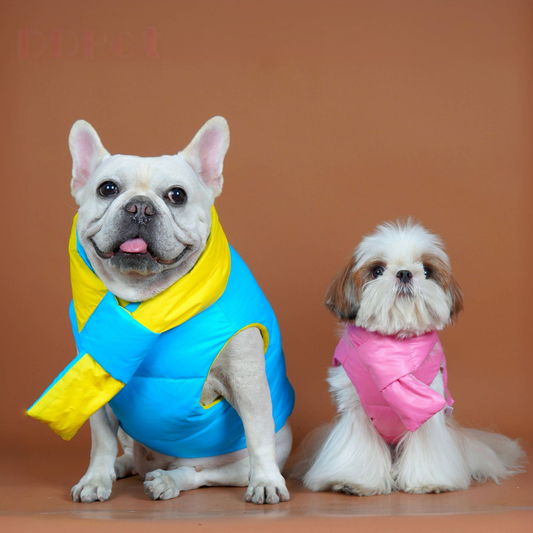 Down Vest with Scarf- D Ring dogwinterwarmwaterproofdownvestcoatforfrenchbulldogs_8