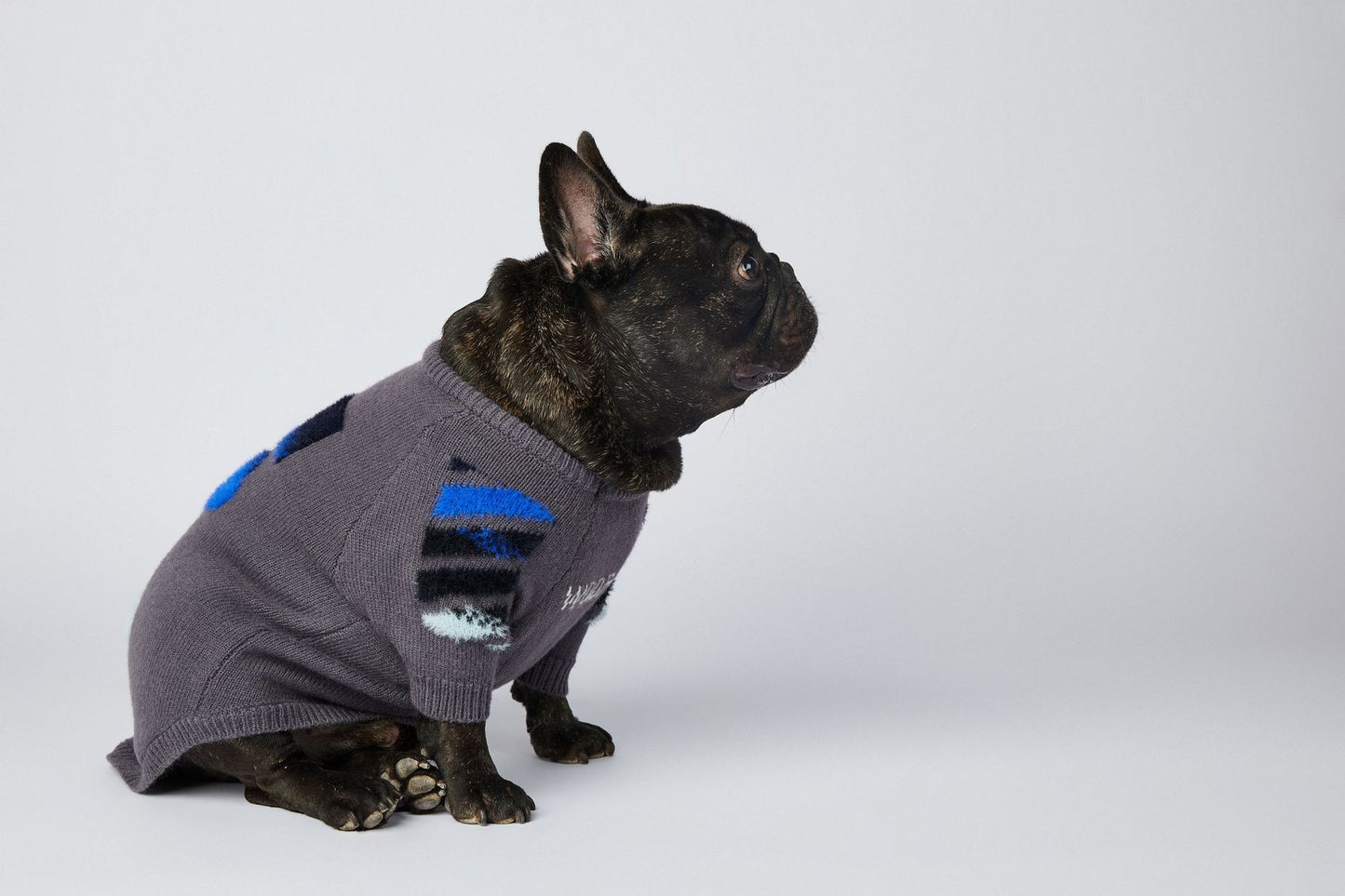 Dog Grey Woof Jumper - Frenchiely