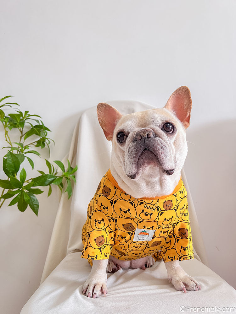 dog yellow bear onesie pajamas for medium dogs by frenchiely