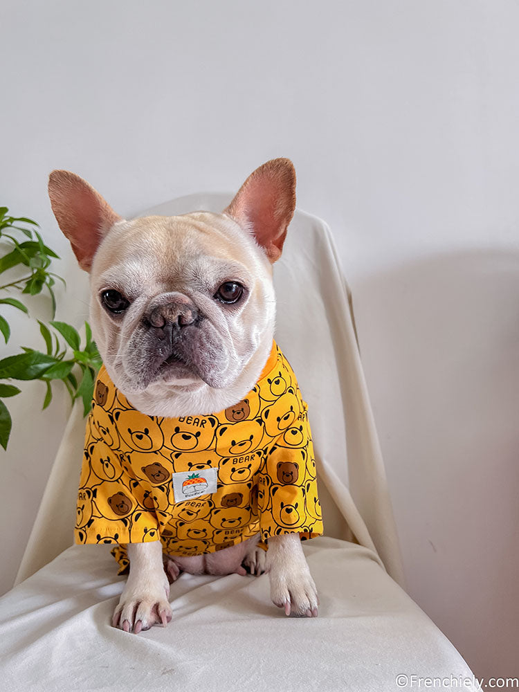 dog yellow bear onesie pajamas for medium dogs by frenchiely