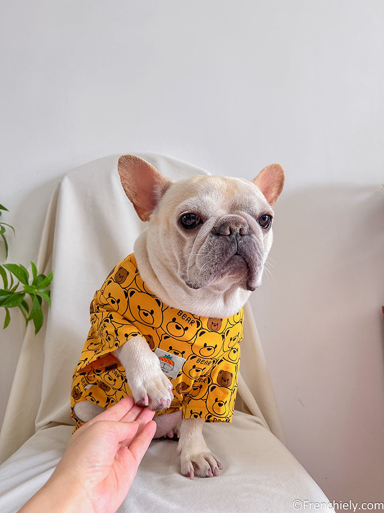 dog yellow bear onesie pajamas for medium dogs by frenchiely