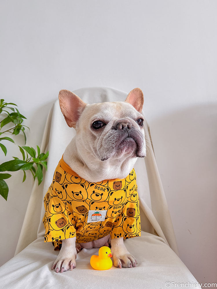 dog yellow bear onesie pajamas for medium dogs by frenchiely