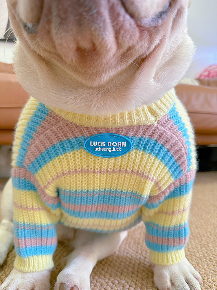 Dog Striped Pullover Sweater for medium dog breeds by Frenchiely