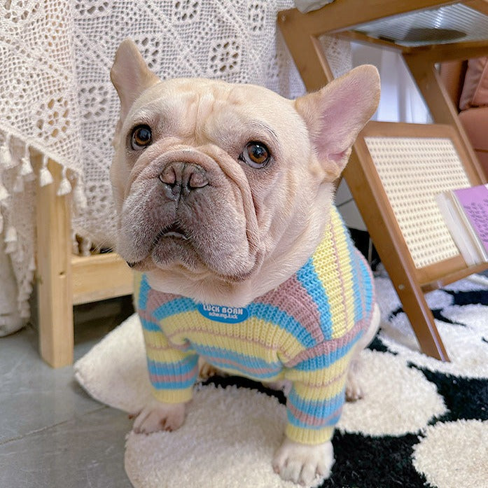 Dog Striped Pullover Sweater for medium dog breeds by Frenchiely