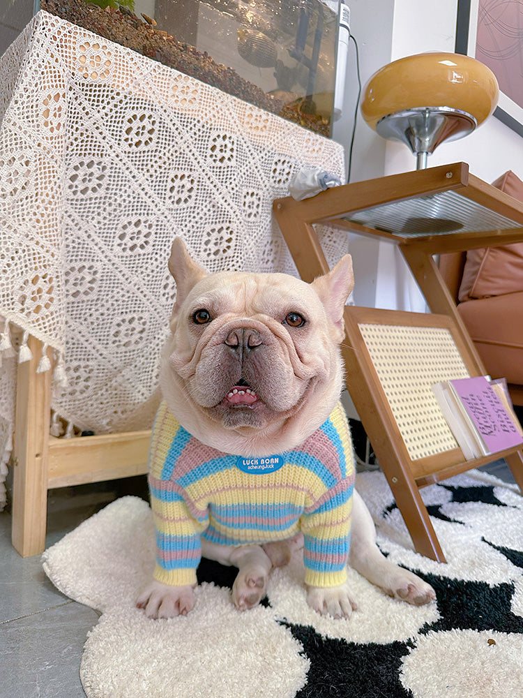 Dog Striped Pullover Sweater for medium dog breeds by Frenchiely