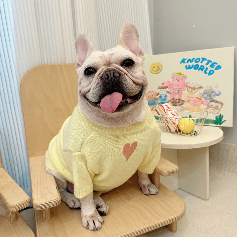 Dog Yellow 'Young For U' Sweater with heart pattern