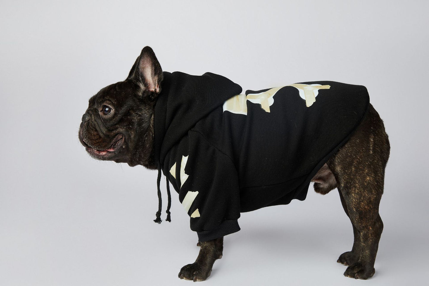 Dog Black and Beige Woof Hoodie - Frenchiely