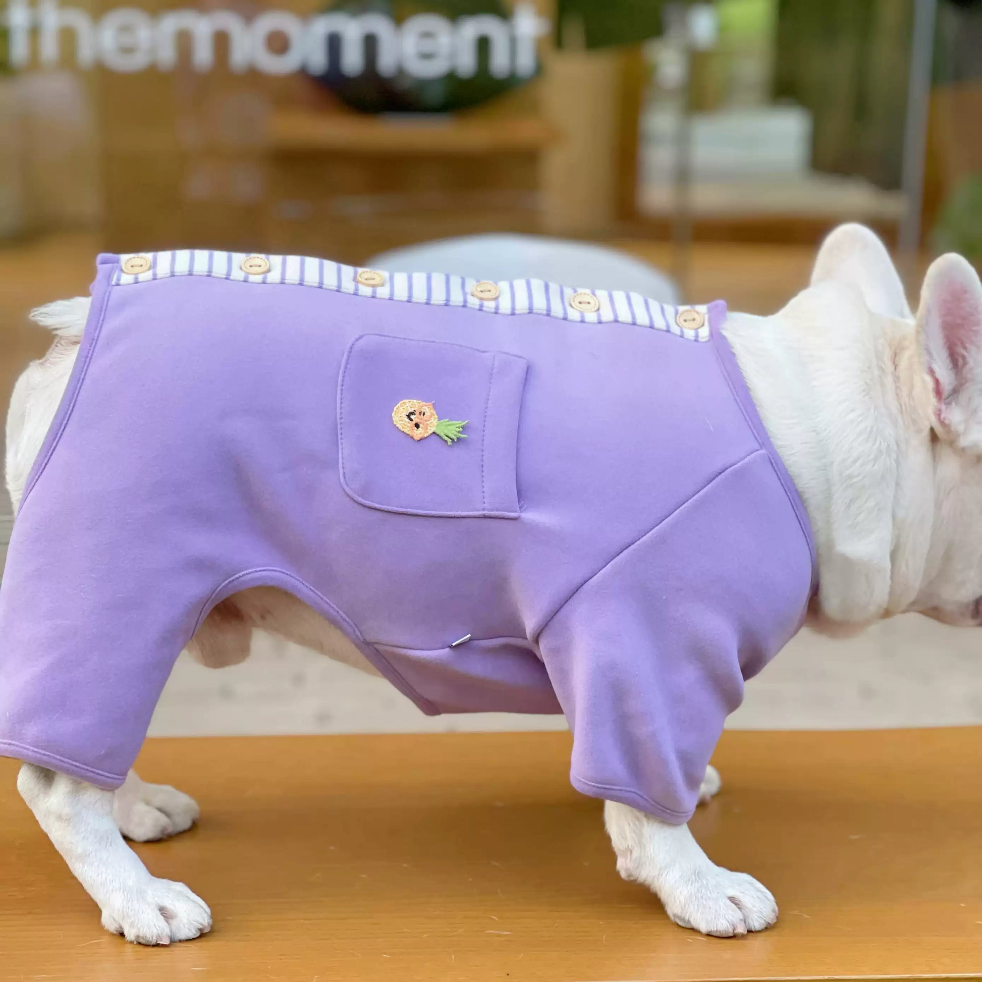 warm onesie pajamas for small medium dogs by frenchiely.com