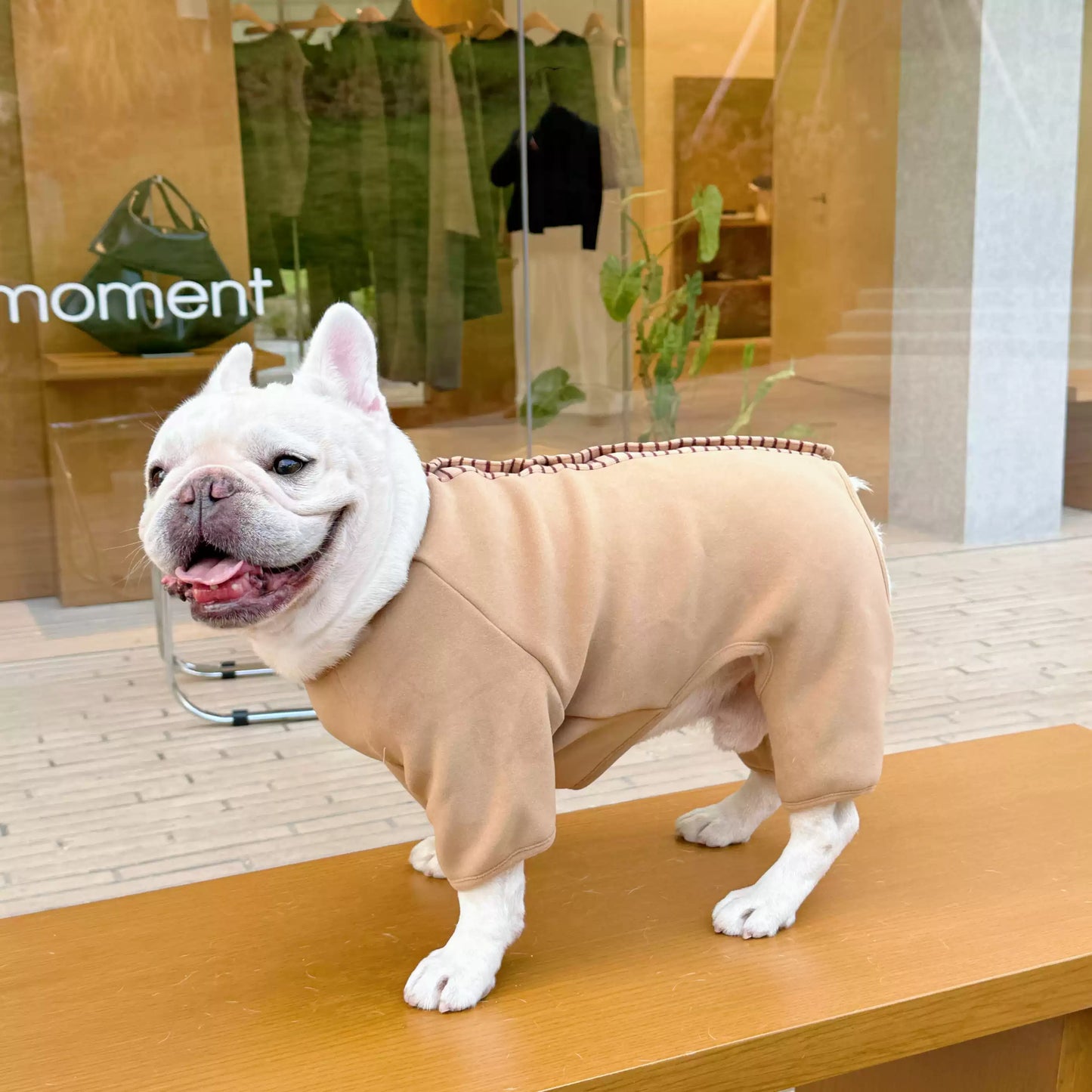 warm onesie pajamas for small medium dogs by frenchiely.com