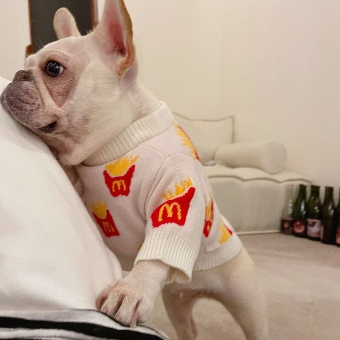 Dog Cute Mc Donald's Pullover Sweater for Small medium dogs by Frenchiely