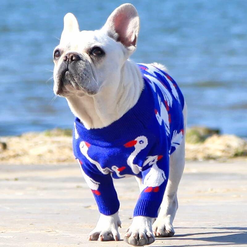 Cartoon Goose Soft Dog Sweaters - Frenchiely