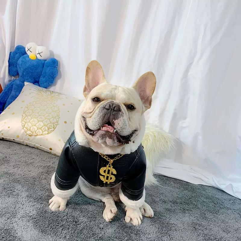 Dog Leather Faux Fur Jacket Coat for French Bully - Frenchiely